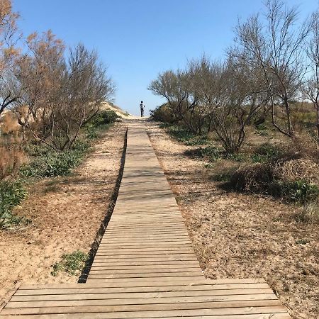 Atico Duplex En Aigua Blanca Oliva公寓 外观 照片