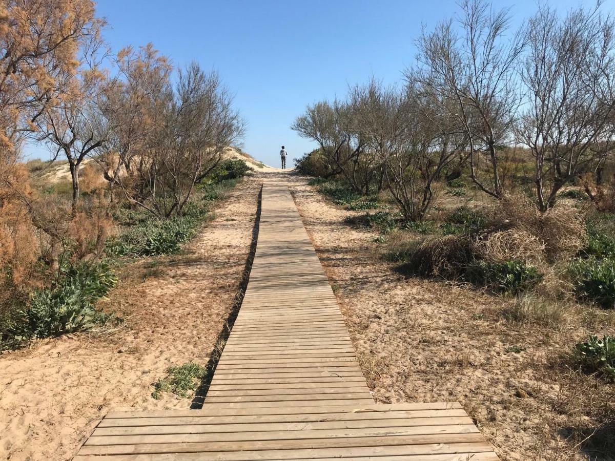 Atico Duplex En Aigua Blanca Oliva公寓 外观 照片